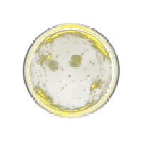 Collagenase
