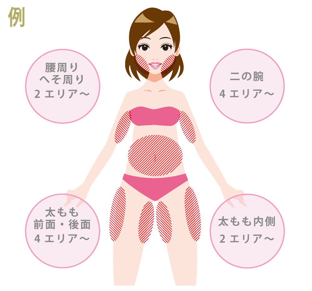 メニュー例